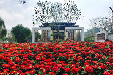 巨能特钢公司召开2025年工作总结表彰大会