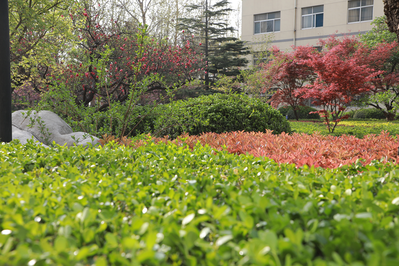 1748307351769119.jpg 4H6A2568_副本.jpg