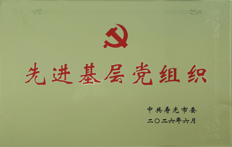 寿光市先进基层党组织1_副本_副本.jpg